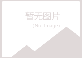 蓝山县盼夏采矿有限公司